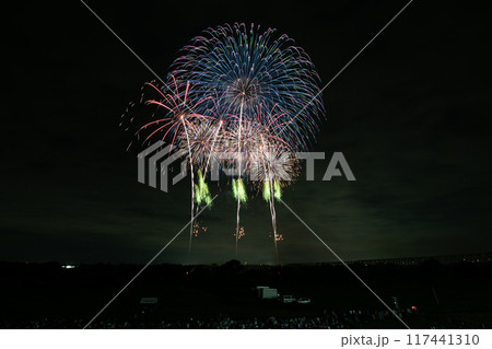 とりで利根川大花火 117441310