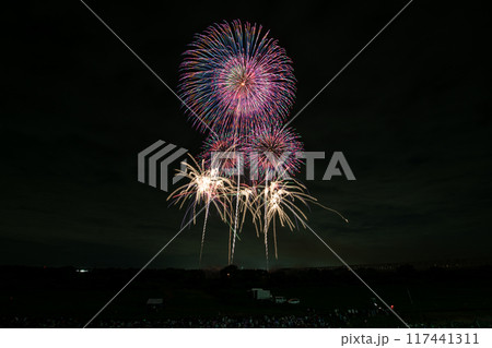 とりで利根川大花火 117441311
