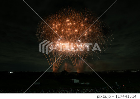 とりで利根川大花火 117441314