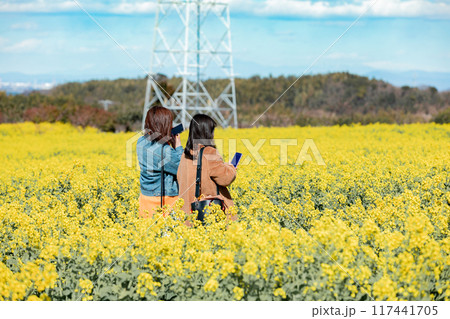 《南知多町》観光農園花ひろばの菜の花畑を眺める女性 117441705