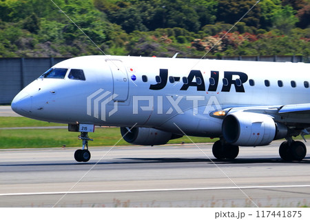 大阪国際空港 JAL 飛行機 着陸態勢 スカイパーク 大阪国際空港 JAL 飛行機 着陸態勢 スカイパーク 117441875