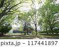 新緑の中を走るしなの鉄道115系 117441897