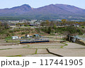 ローカル線 しなの鉄道 115系 117441905
