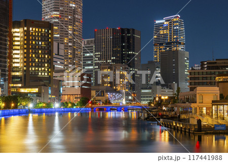 大阪　中之島の美しい夜景（堂島大橋から） 117441988