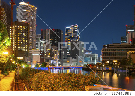 大阪　中之島の美しい夜景（堂島大橋から） 117441993