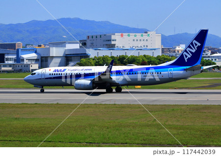 大阪国際空港　ANA　飛行機　離陸態勢　スカイパーク 117442039