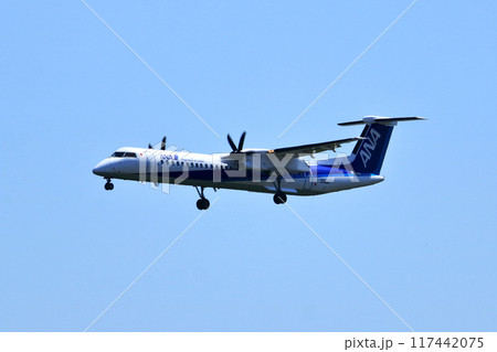 大阪国際空港　ANA　ボンバルディア　DHC8-Q400 プロペラ機　着陸態勢　スカイパーク 117442075