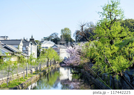 倉敷美観地区の風景 倉敷美観地区の風景 117442225