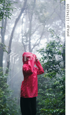 Smiling woman hiking through lush, misty forest on a rainy day 117442309