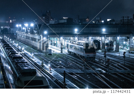 夜の名古屋車両区 向野橋より 117442431