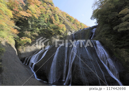 秋晴れの下、色鮮やかに紅葉した木々に囲まれた日本三名瀑の一つ、茨城県の袋田の滝 117442698