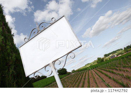 Scenic view of vineyards in South West of France 117442792