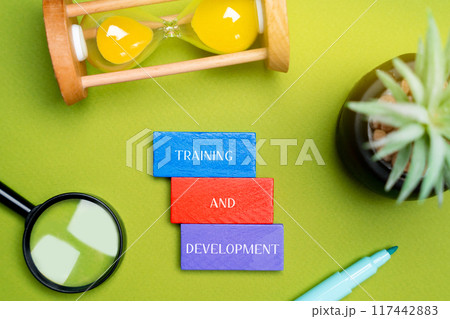 Training and development concept. Improving employees skills, knowledge, and competencies to enhance their performance and support career growth. Inscription on the blocks. 117442883