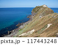 積丹半島｜神威岬へ続く「チャレンカの小道」からの眺望、積丹ブルーに染まり絶景です　 117443248