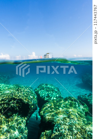 与那国の海(半水面) 与那国の海(半水面) 117443767