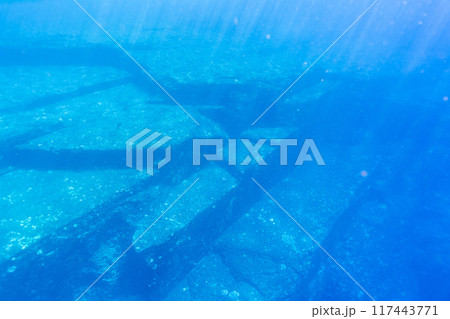 与那国の海底遺跡 117443771