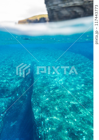 与那国の海(半水面) 与那国の海(半水面) 117443773