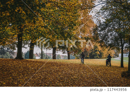 A young couple rides bicycles in an autumn park A young couple rides bicycles in an autumn park 117443956