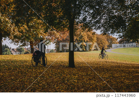 A young couple rides bicycles in an autumn park 117443960