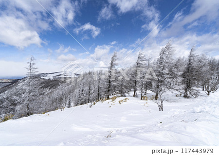 美ヶ原公園沖線沿（県道62号線）の雪景色 117443979