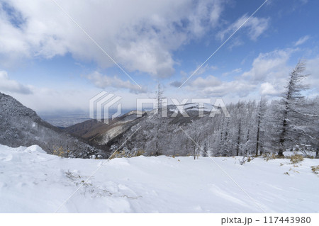 美ヶ原公園沖線沿(県道62号線)の雪景色 美ヶ原公園沖線沿(県道62号線)の雪景色 117443980