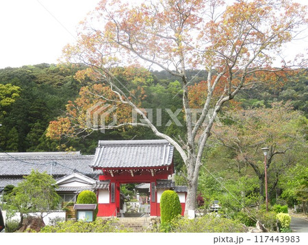 古刹、赤岩寺(豊橋)の赤門 古刹、赤岩寺(豊橋)の赤門 117443983
