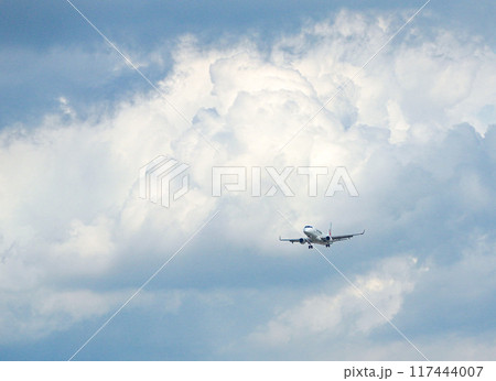 大阪国際空港　JAL　旅客機　着陸 117444007
