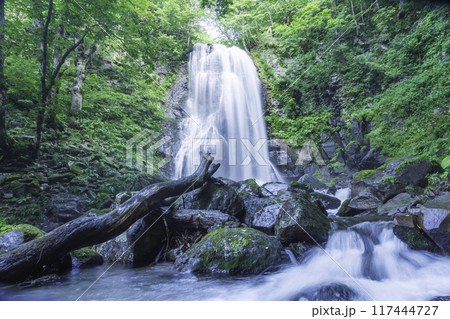 深緑の小野川不動滝 117444727
