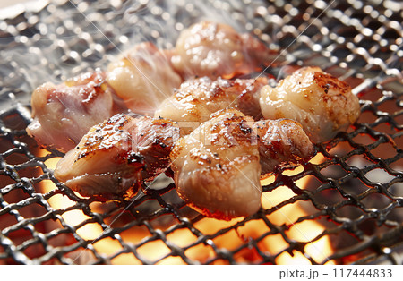 ホルモン焼き 117444833