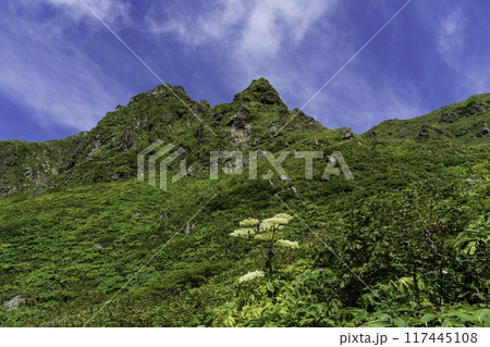 夏の秋田駒ヶ岳登山 夏の秋田駒ヶ岳登山 117445108