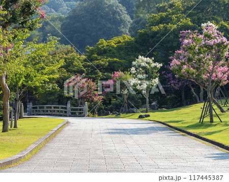 奈良公園に咲く百日紅の花と吉城川の橋 奈良公園に咲く百日紅の花と吉城川の橋 117445387