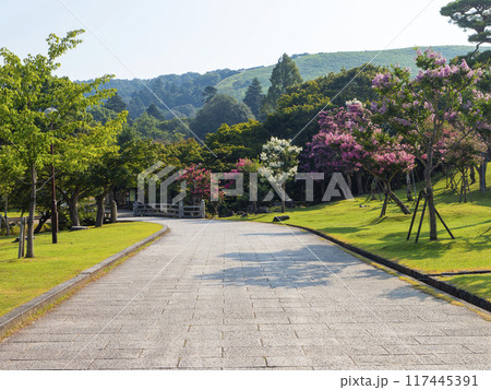 奈良公園に咲く百日紅の花と吉城川の橋 奈良公園に咲く百日紅の花と吉城川の橋 117445391