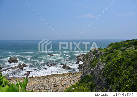夏の岬から望む太平洋 夏の岬から望む太平洋 117445874