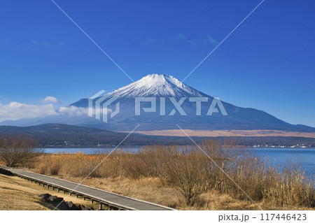 【山梨県】山中湖から眺める冬の富士山 117446423