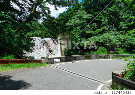 青い川と呼ばれる新燃岳山麓の霧島川砂防ダム(鹿児島県霧島市) 青い川と呼ばれる新燃岳山麓の霧島川砂防ダム(鹿児島県霧島市) 117446438