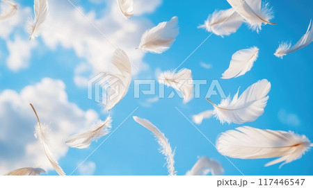 white feathers fly in the wind on sunny blue sky background 117446547
