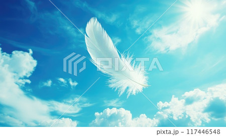 white feather fly in the wind on sunny blue sky background 117446548