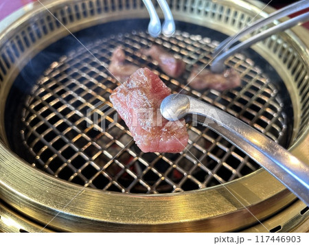 バーベキューで焼いた焼肉 117446903