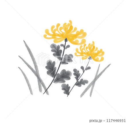 菊の墨彩画 秋の花のイラスト素材 菊の墨彩画 秋の花のイラスト素材 117446931