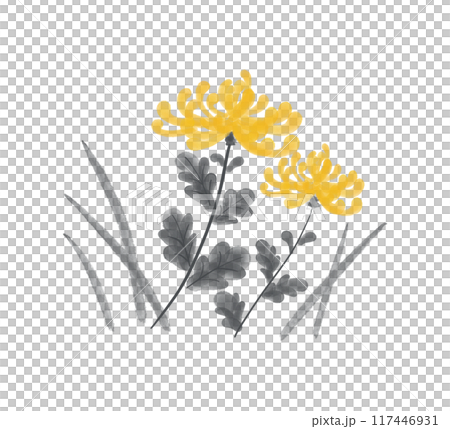 菊の墨彩画 秋の花のイラスト素材 菊の墨彩画 秋の花のイラスト素材 117446931