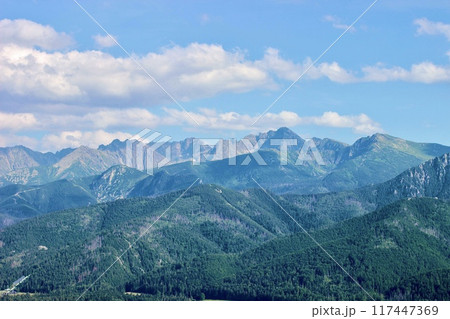 Beautiful nature background with blue big scenic mountains and green forests 117447369