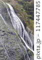 滝と苔の生えた岩の風景 117447785