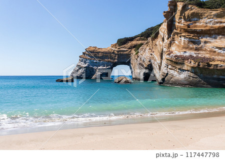 象の水飲み岩・種子島・海・空・波 象の水飲み岩・種子島・海・空・波 117447798