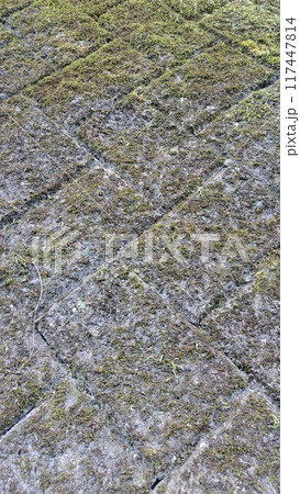 苔むした石垣 117447814