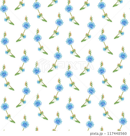 Watercolor botanical pattern with large chicory flowers. Blue meadow flowers on a white background. Seamless print for fabrics, wallpapers, clothes, packaging and backgrounds 117448560