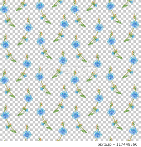 Watercolor botanical pattern with large chicory flowers. Blue meadow flowers on a white background. Seamless print for fabrics, wallpapers, clothes, packaging and backgrounds 117448560