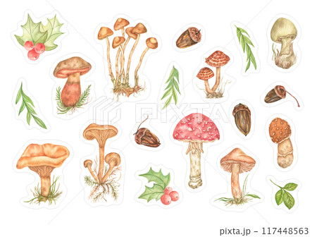 A collection of autumn elements: mushrooms, berries, leaves, acorns. A set of watercolor paints with a notch for stickers, for decorating postcards, scrapbooking. 117448563