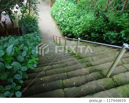 雨で湿った階段　福岡県糸島市櫻井神社 117448659