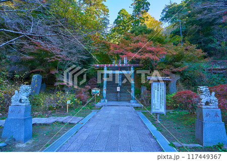 秋の神奈川県鎌倉市 建長寺の半僧坊にむかう参道の石段の鳥居 秋の神奈川県鎌倉市 建長寺の半僧坊にむかう参道の石段の鳥居 117449367