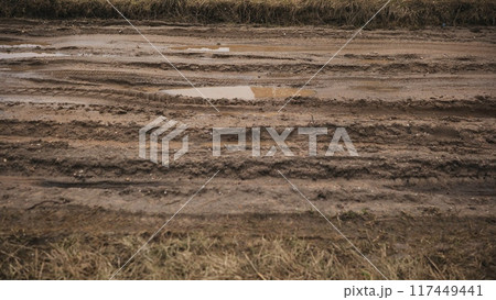 Broken country dirt road with a swamp. Broken country dirt road with a swamp. 117449441